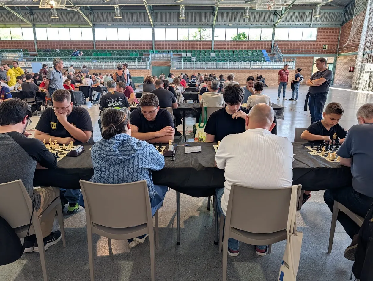 📋 How to get a chess licence in Lleida: steps, prices and benefits